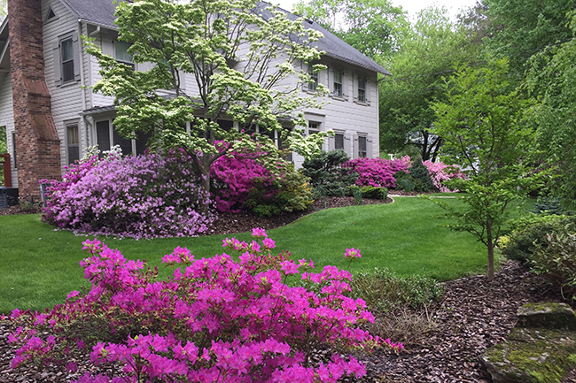 Northern New Jersey Open Day